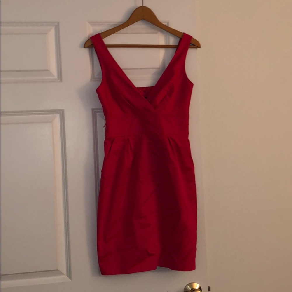 Express pink dress. Hits right above knee.